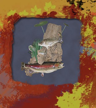 trout on driftwood