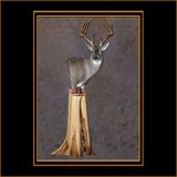 Deer on Cedar Pedestal