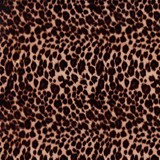 SWG-129-Cheetah